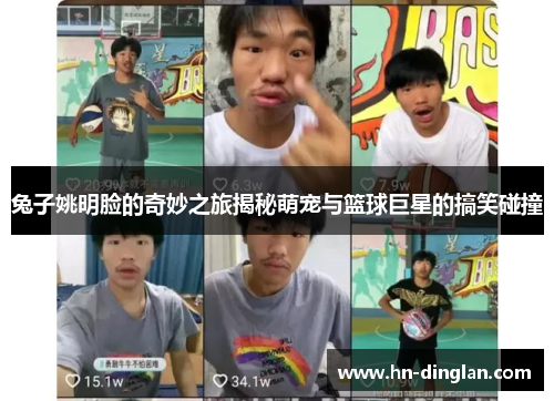 兔子姚明脸的奇妙之旅揭秘萌宠与篮球巨星的搞笑碰撞